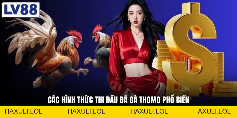Đá Gà Thomo - Hé Lộ Đấu Trường Kịch Tính Bậc Nhất Hiện Nay