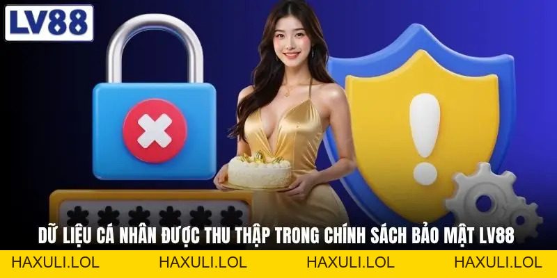 Chính Sách Bảo Mật LV88 - Đọc Hết Để Nắm Quyền Riêng Tư