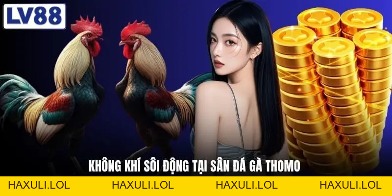 Đá Gà Thomo - Hé Lộ Đấu Trường Kịch Tính Bậc Nhất Hiện Nay