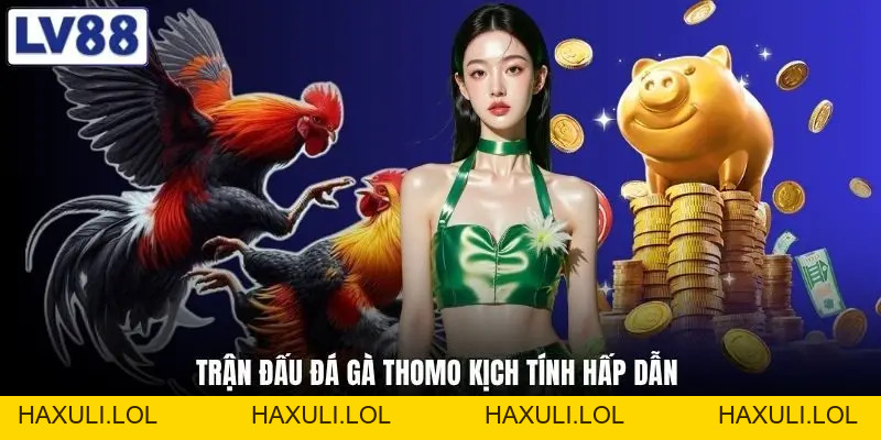 Đá Gà Thomo - Hé Lộ Đấu Trường Kịch Tính Bậc Nhất Hiện Nay