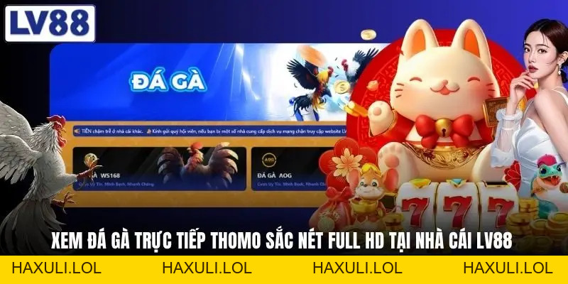 LV88 haxuli.lol - Nhà Cái lv88.com, Tải App LV88 +888K